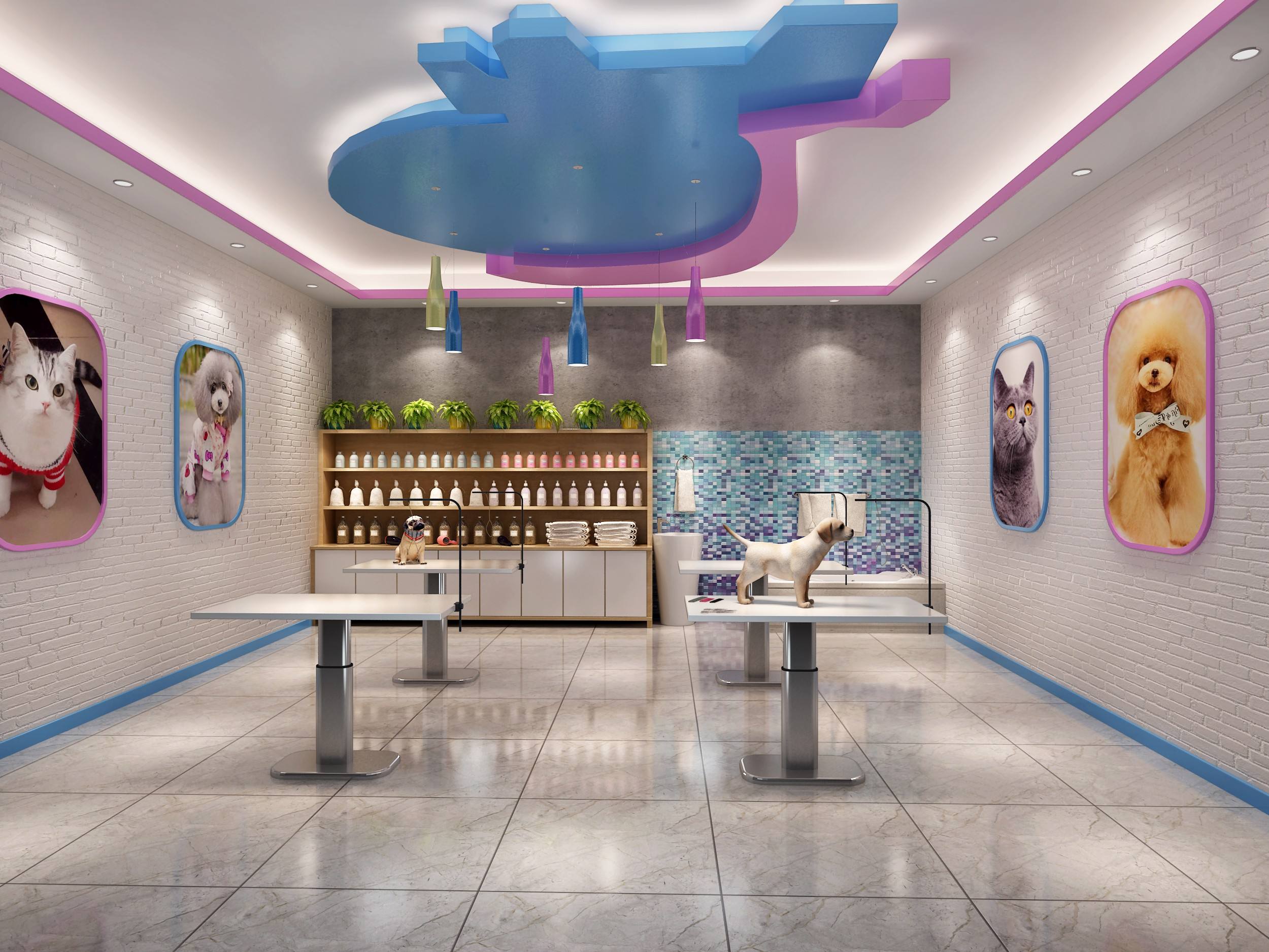 宠物店伟德BV客户端哪个好？1